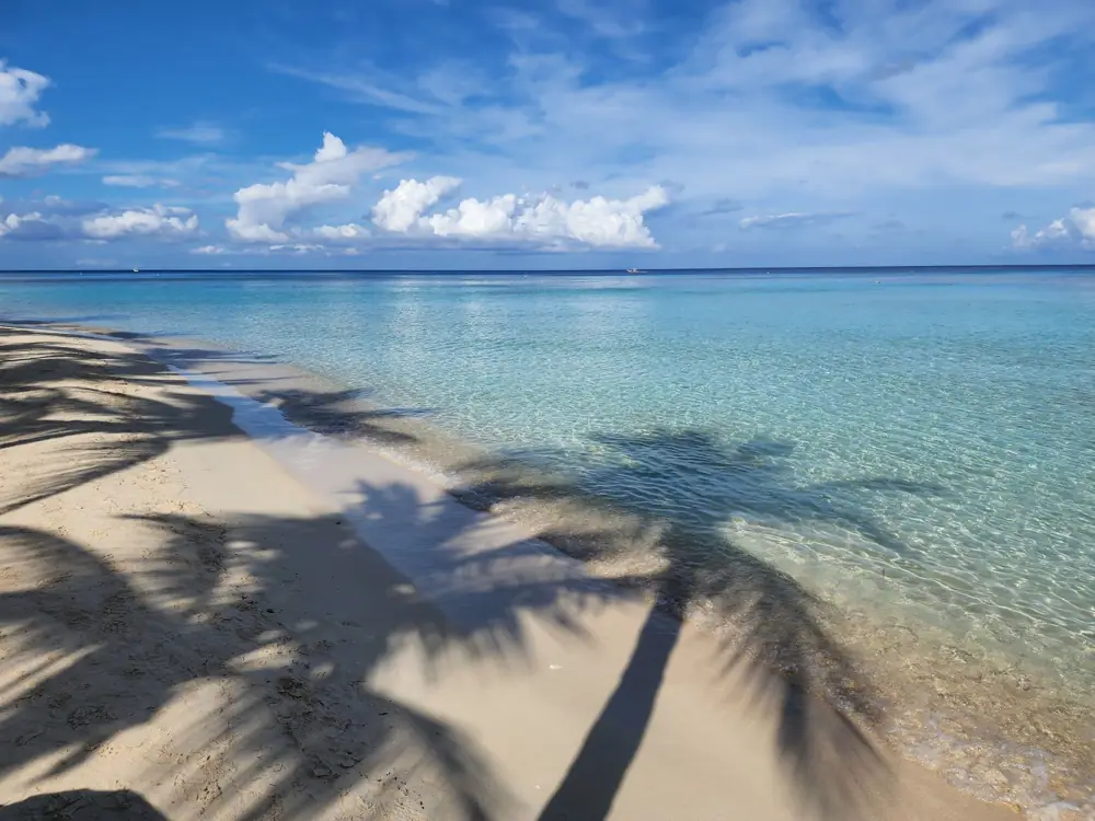 Beach Resort vs City Hotel Cost