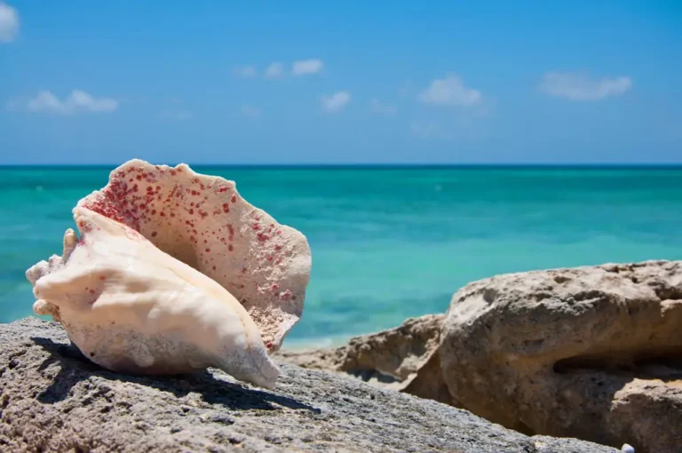 Turks and Caicos All Inclusive Cost - Turks and Caicos All Inclusive Resort Cost Per Night